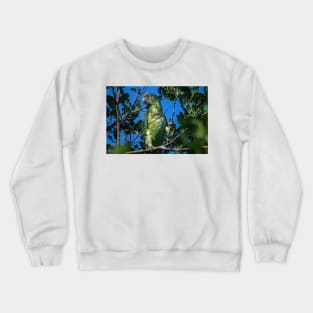 Hll parrot Crewneck Sweatshirt